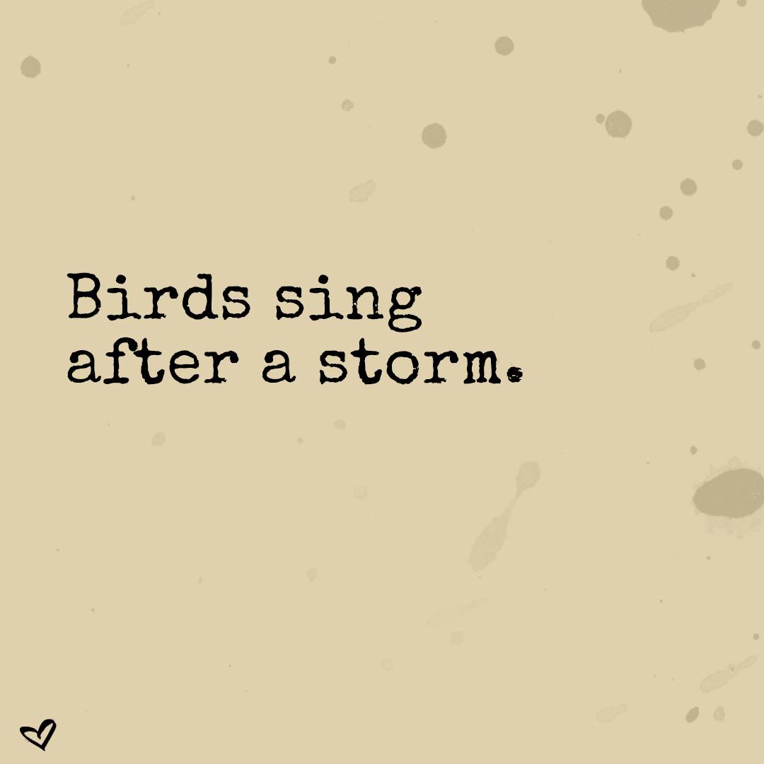 Birds sing