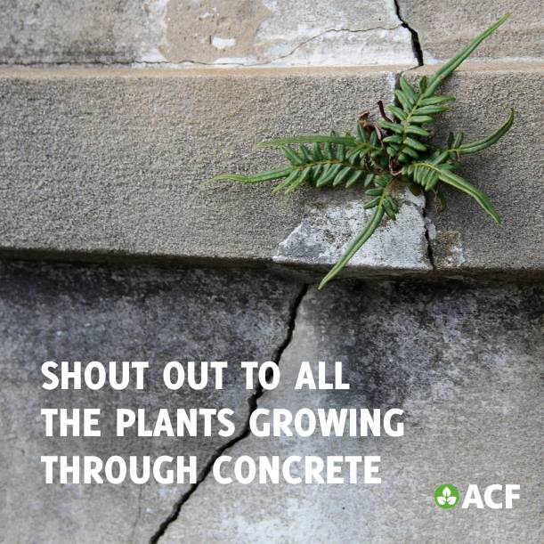 Shout out to all the plants