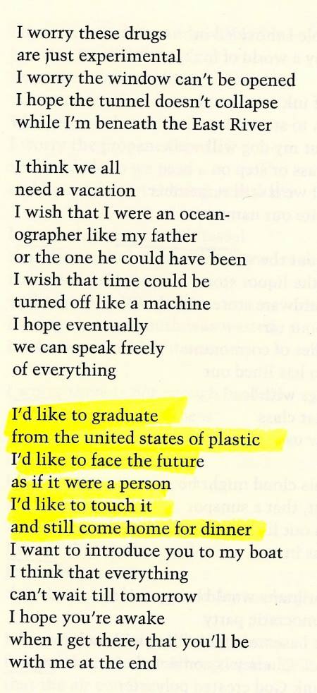 Survey by Elizabeth Willis