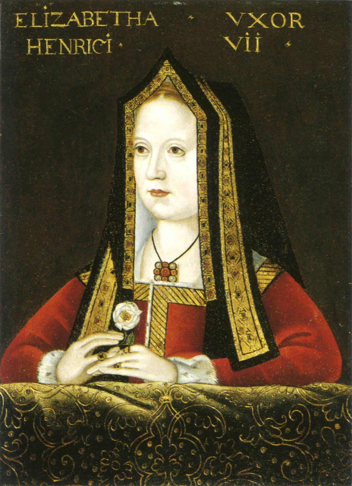 Elizabeth of York Elly McDonald Writer