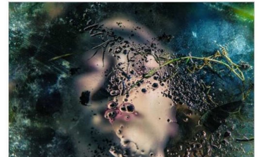 Into_The_Water_Elly_McDonald_Writer