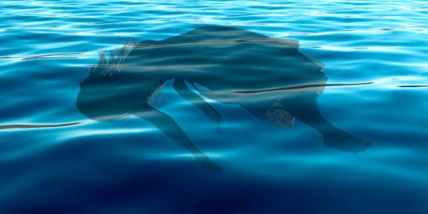 Into_The_Water_Paula_Hawkins