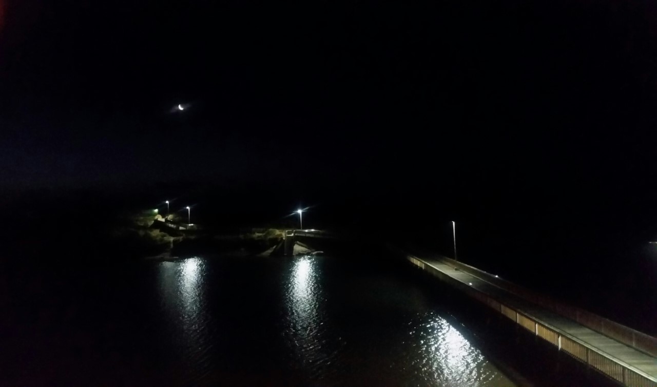 Elly_McDonald_Writer_Lenny11