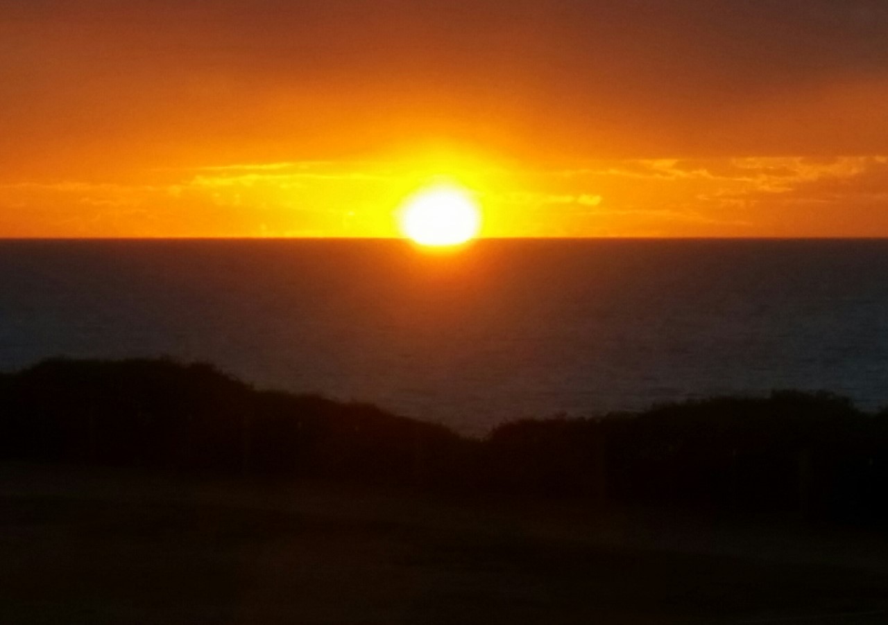 Elly_McDonald_Writer_Lenny17