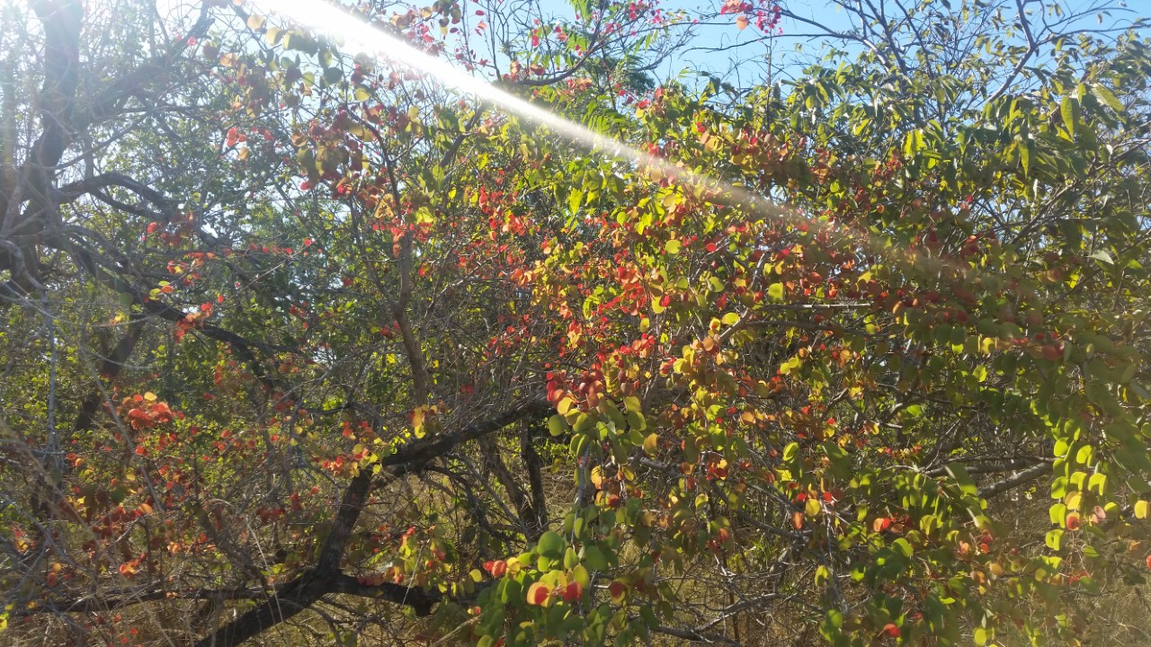 Elly_McDonald_Writer_Lenny21