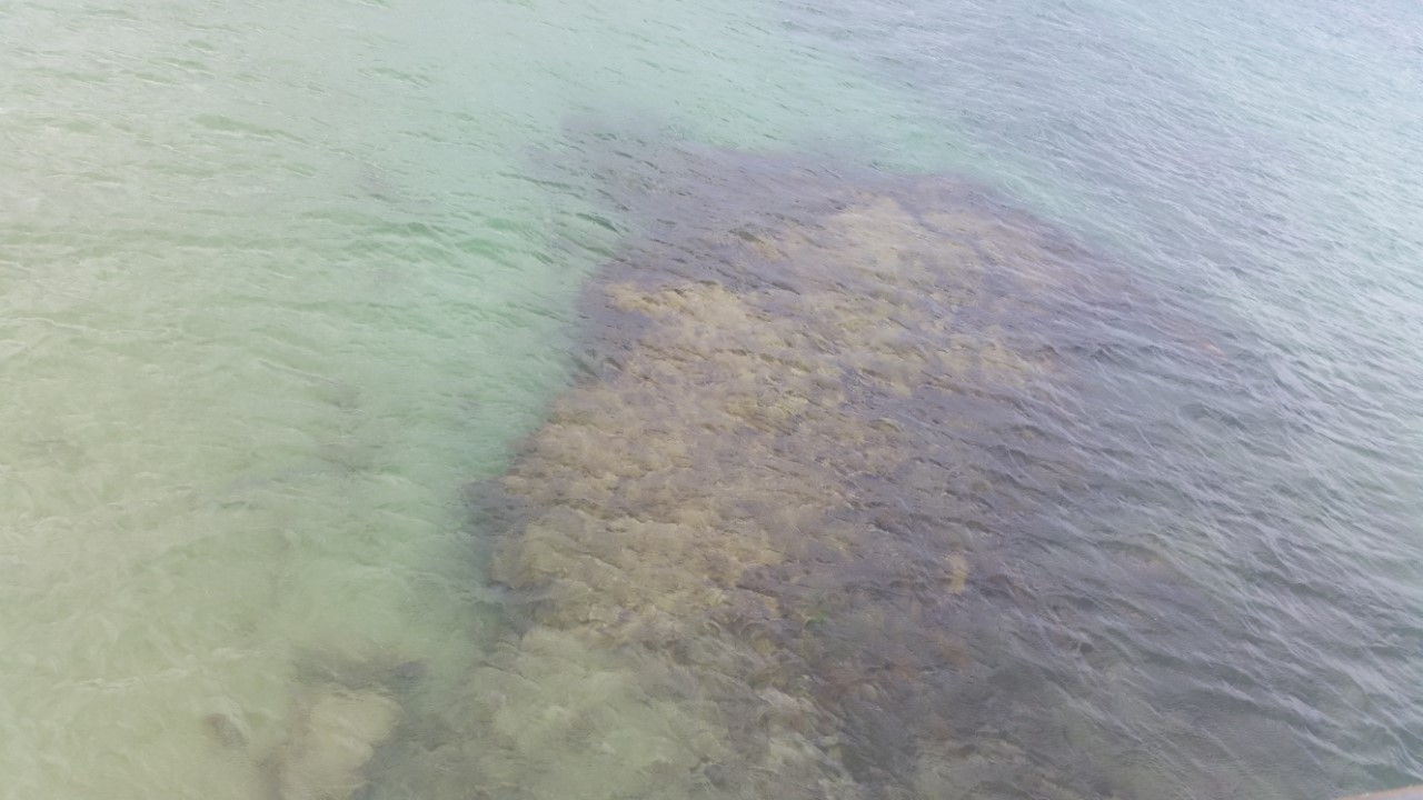 Elly_McDonald_Writer_Lenny22