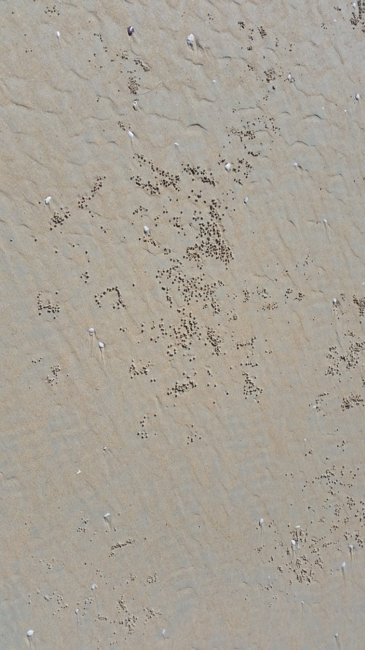 Elly_McDonald_Writer_Lenny24