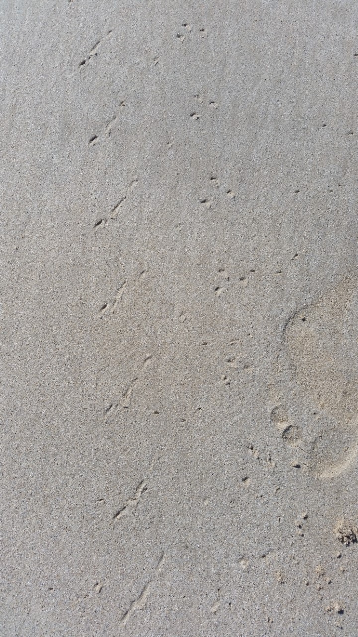 Elly_McDonald_Writer_Lenny26