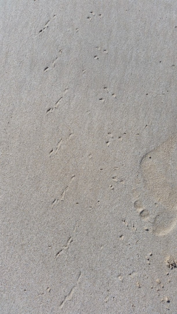 Elly_McDonald_Writer_Lenny26