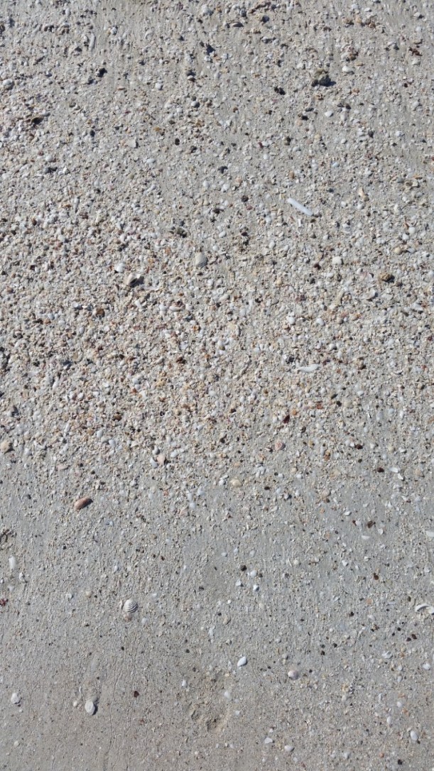 Elly_McDonald_Writer_Lenny27