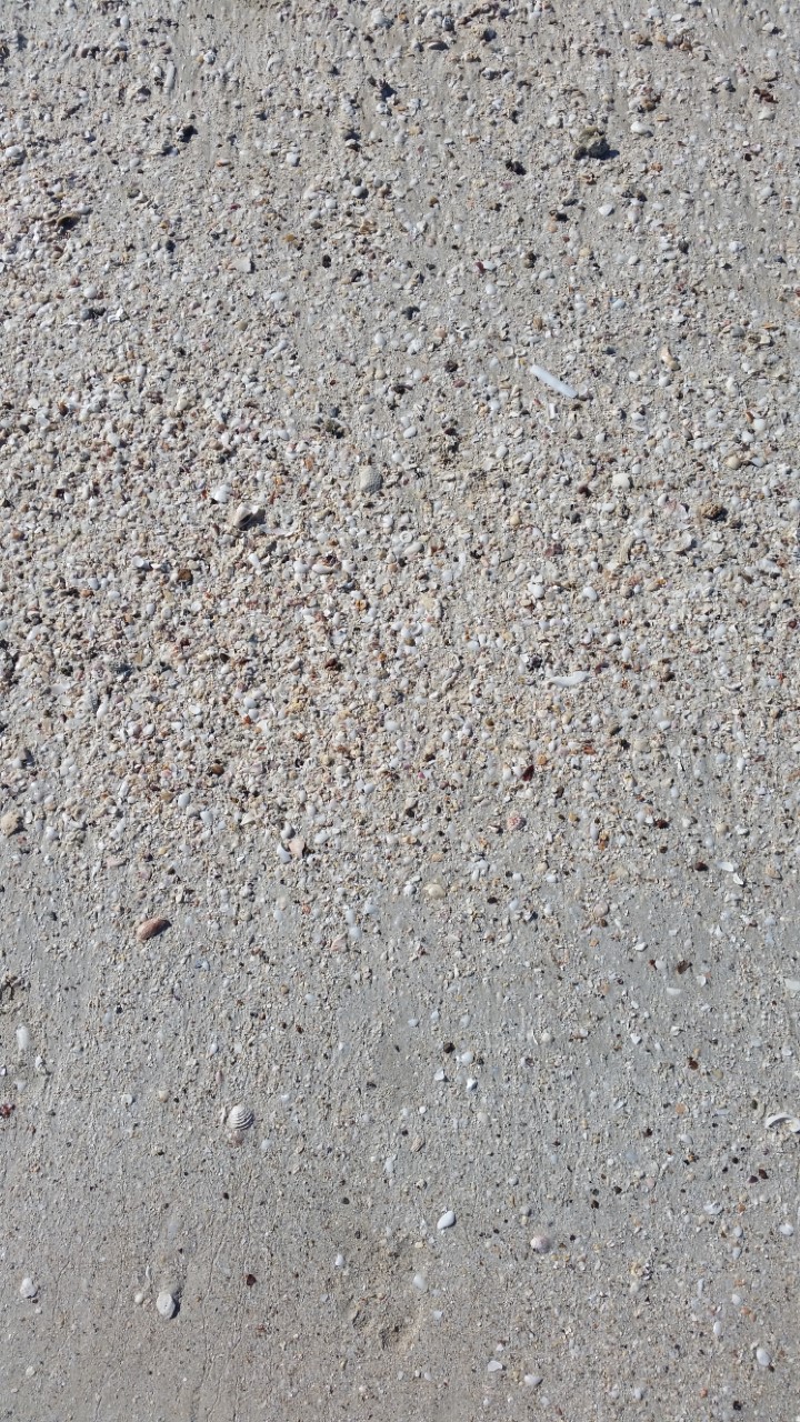 Elly_McDonald_Writer_Lenny27