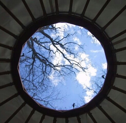 Elly_McDonald_Writer_Lenny32