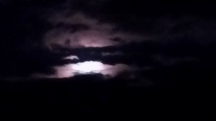 Elly_McDonald_Writer_Lenny4