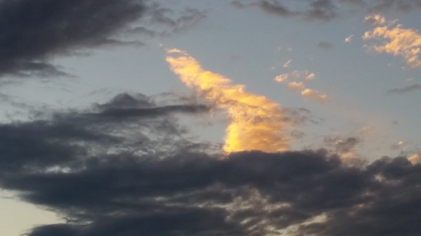 Elly_McDonald_Writer_Lenny5