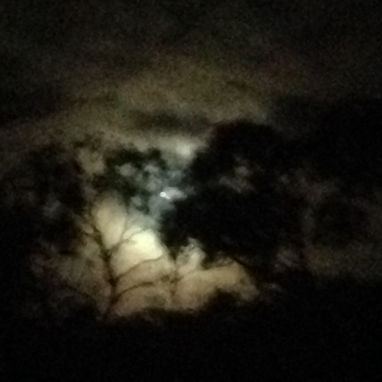 Elly_McDonald_Writer_Lenny6