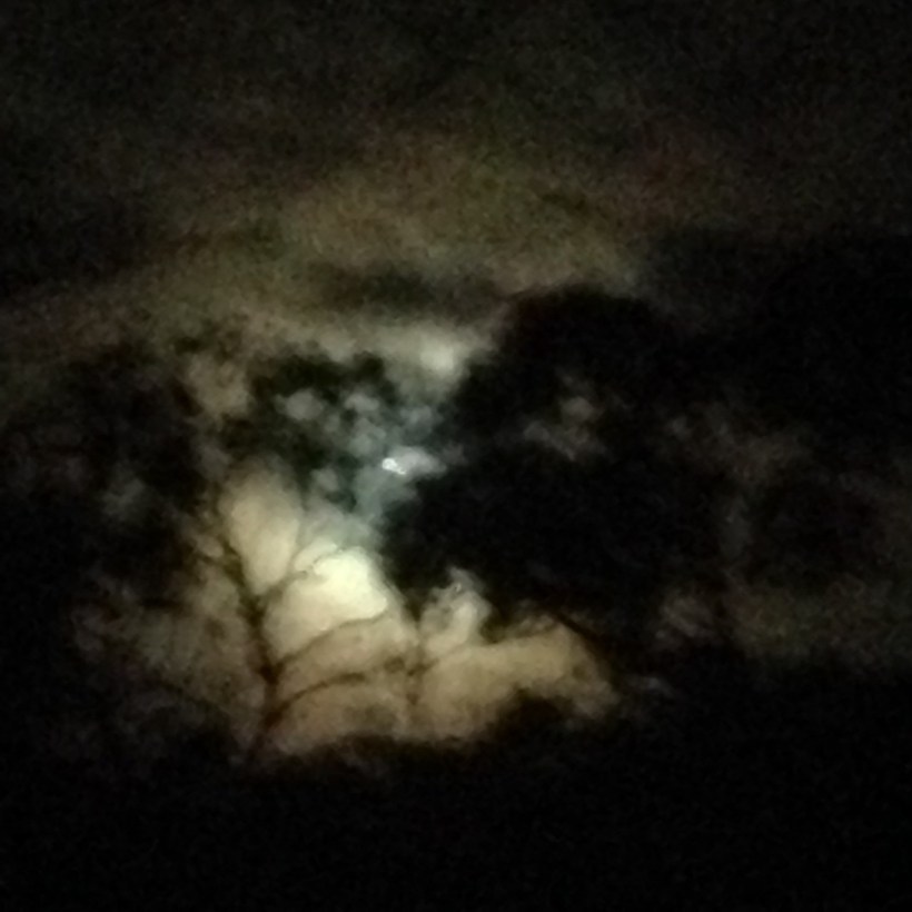 Elly_McDonald_Writer_Lenny6