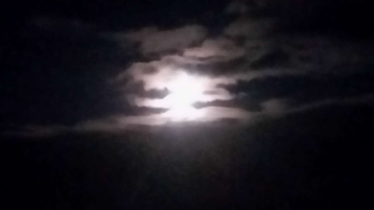 Elly_McDonald_Writer_Lenny8