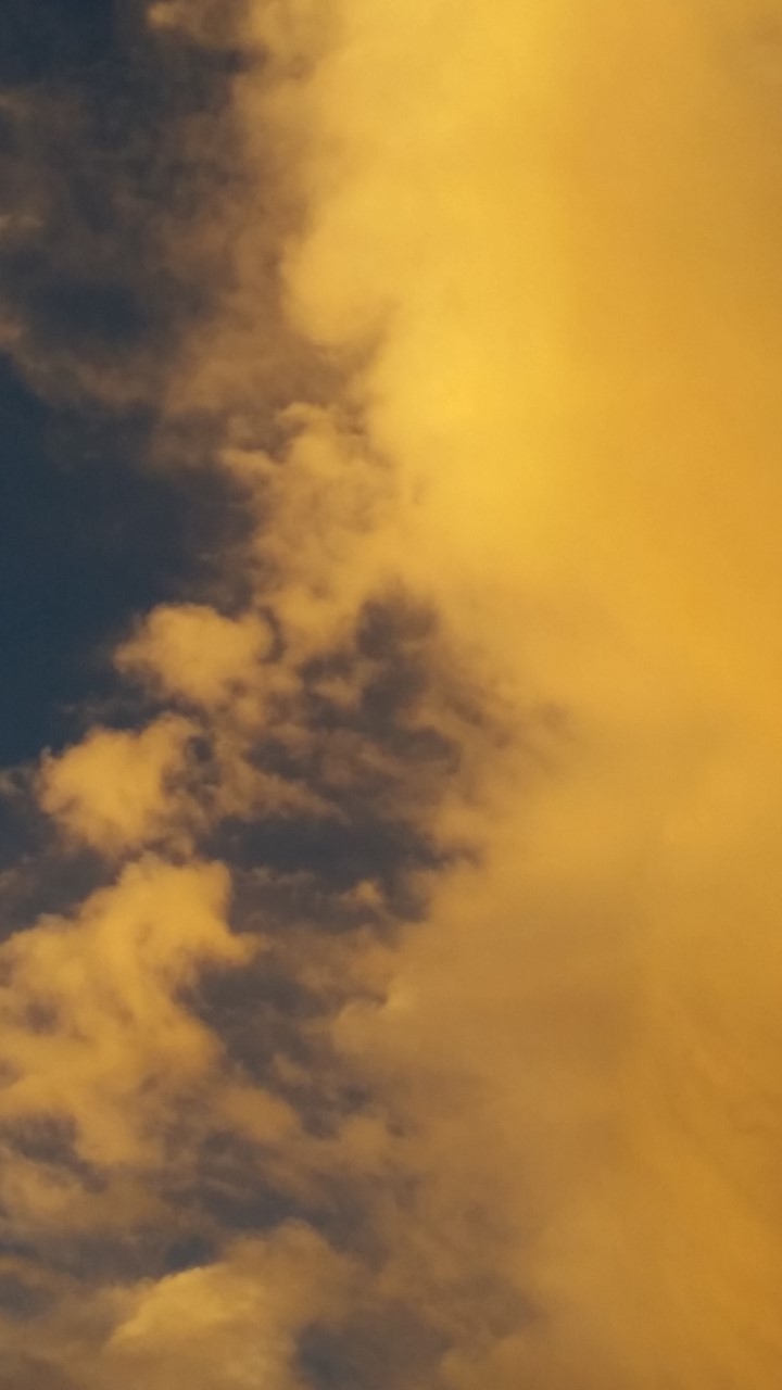 Elly_McDonald_Writer_Lenny9