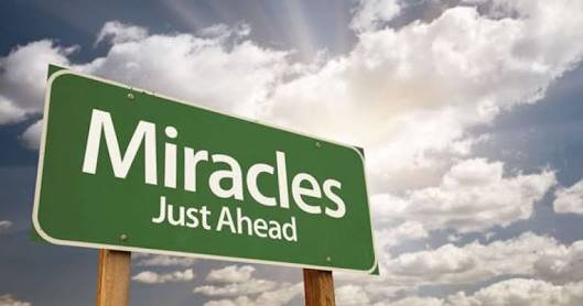 Miracles_Elly_McDonald_Writer